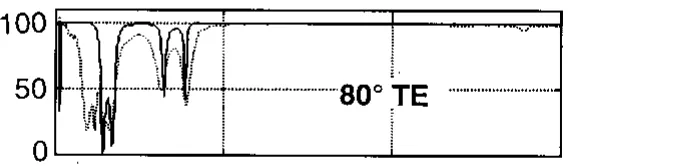 Fink Fig. 4 — 80° TE (paper).